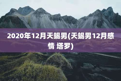 2020年12月天蝎男(天蝎男12月感情 塔罗)