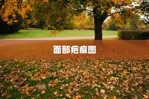 面部疤痕图