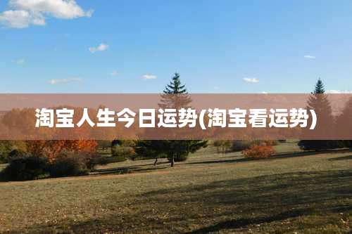 淘宝人生今日运势(淘宝看运势)