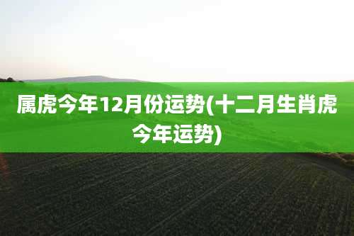 属虎今年12月份运势(十二月生肖虎今年运势)