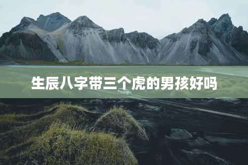 生辰八字带三个虎的男孩好吗