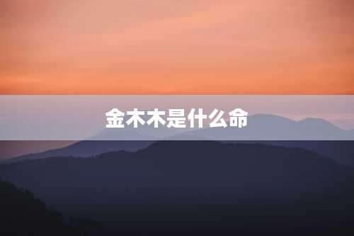 金木木是什么命