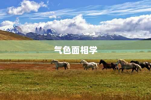 气色面相学