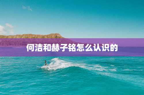 何洁和赫子铭怎么认识的