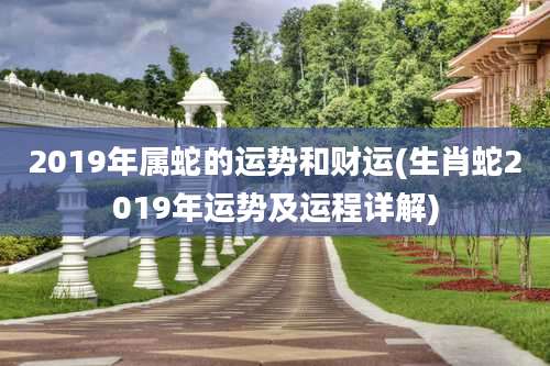 2019年属蛇的运势和财运(生肖蛇2019年运势及运程详解)