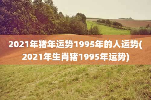 2021年猪年运势1995年的人运势(2021年生肖猪1995年运势)