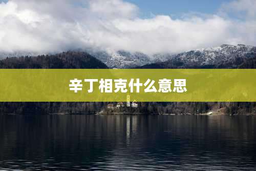 辛丁相克什么意思