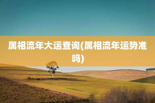 属相流年大运查询(属相流年运势准吗)