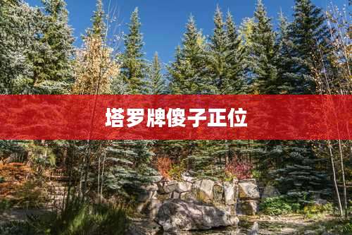 塔罗牌傻子正位