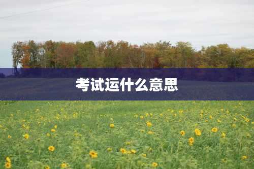 考试运什么意思