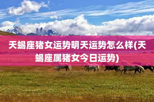 天蝎座猪女运势明天运势怎么样(天蝎座属猪女今日运势)