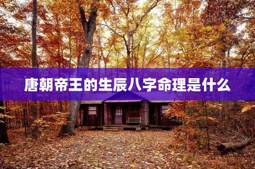 唐朝帝王的生辰八字命理是什么