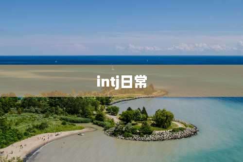 intj日常