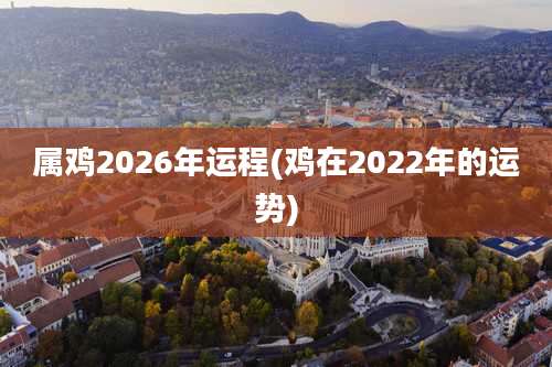 属鸡2026年运程(鸡在2022年的运势)