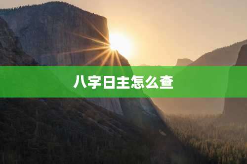 八字日主怎么查