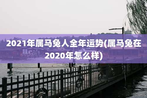2021年属马兔人全年运势(属马兔在2020年怎么样)