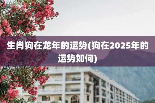 生肖狗在龙年的运势(狗在2025年的运势如何)
