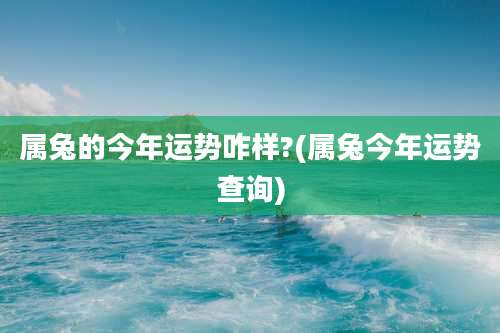 属兔的今年运势咋样?(属兔今年运势查询)