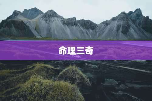 命理三奇