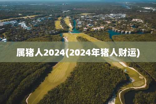 属猪人2024(2024年猪人财运)