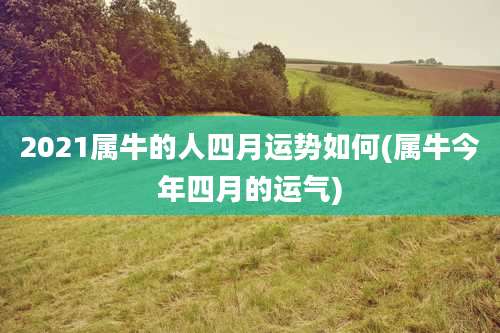 2021属牛的人四月运势如何(属牛今年四月的运气)