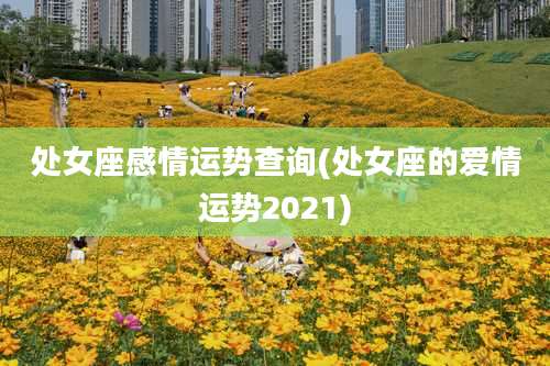 处女座感情运势查询(处女座的爱情运势2021)