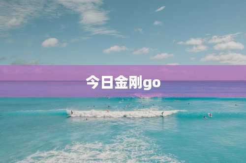 今日金刚go