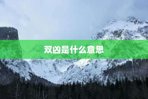 双凶是什么意思