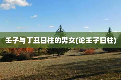 壬子与丁丑日柱的男女(论壬子日柱)