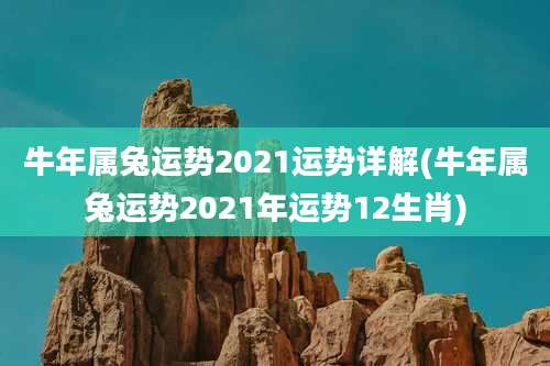 牛年属兔运势2021运势详解(牛年属兔运势2021年运势12生肖)