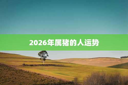 2026年属猪的人运势