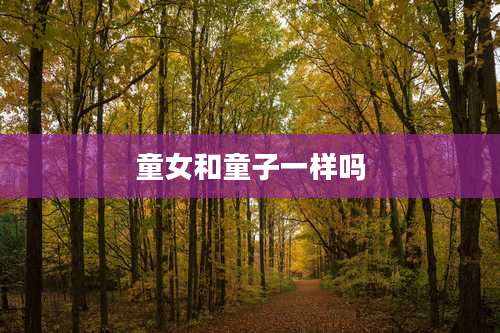 童女和童子一样吗