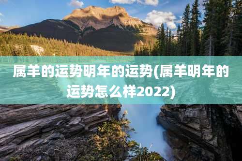 属羊的运势明年的运势(属羊明年的运势怎么样2022)