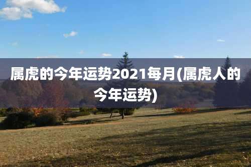 属虎的今年运势2021每月(属虎人的今年运势)