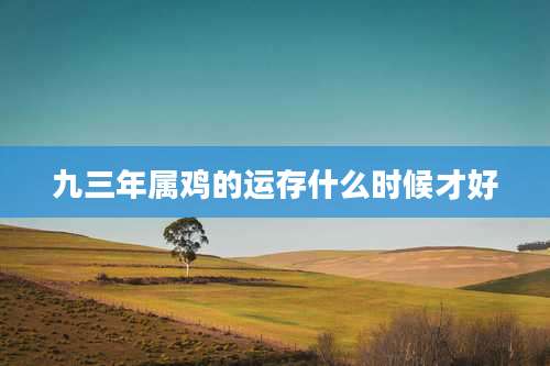 九三年属鸡的运存什么时候才好