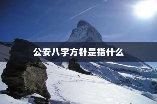 公安八字方针是指什么