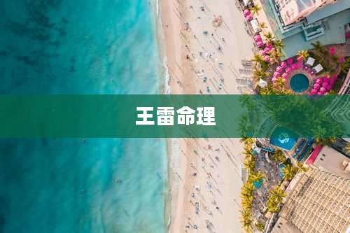 王雷命理
