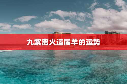 九紫离火运属羊的运势