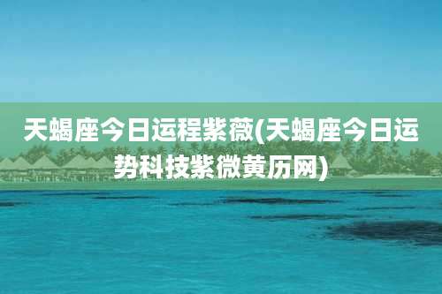 天蝎座今日运程紫薇(天蝎座今日运势科技紫微黄历网)