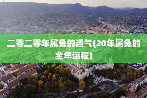 二零二零年属兔的运气(20年属兔的全年运程)
