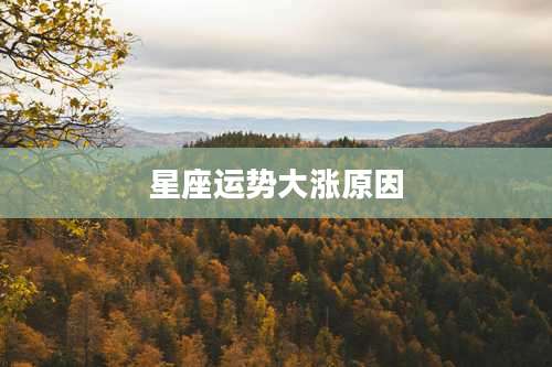 星座运势大涨原因
