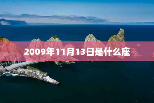 2009年11月13日是什么座