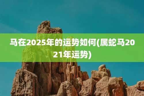 马在2025年的运势如何(属蛇马2021年运势)