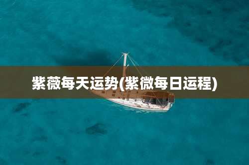 紫薇每天运势(紫微每日运程)