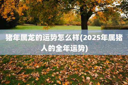 猪年属龙的运势怎么样(2025年属猪人的全年运势)