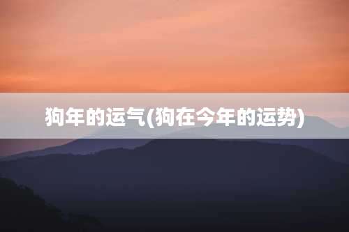 狗年的运气(狗在今年的运势)