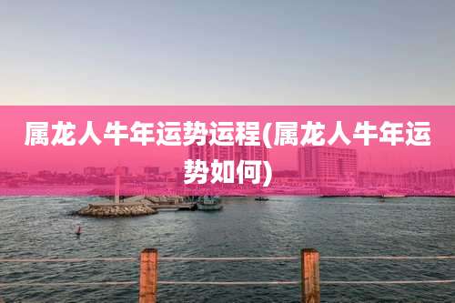 属龙人牛年运势运程(属龙人牛年运势如何)