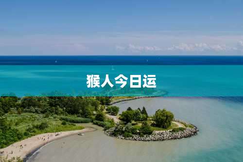 猴人今日运