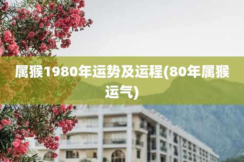 属猴1980年运势及运程(80年属猴运气)