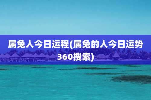 属兔人今日运程(属兔的人今日运势360搜索)